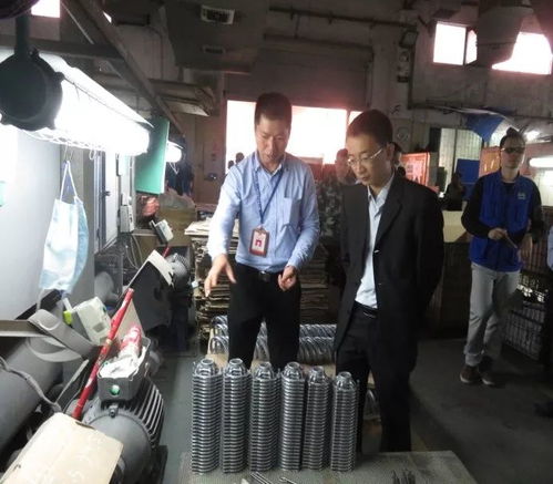 鳳崗鎮開展元旦節前安全檢查，監控設備成關鍵環節